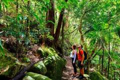 mountainvilla-aus8